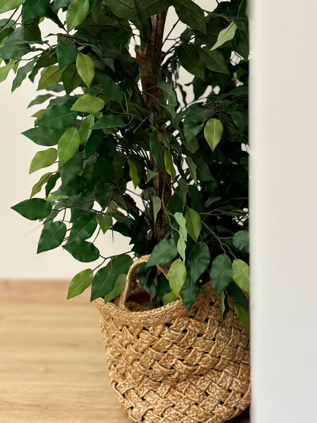 Apartamento Dell'arte *